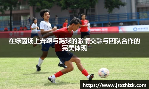 伟德bv国际体育